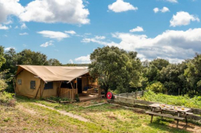 Glamping Tent Joy